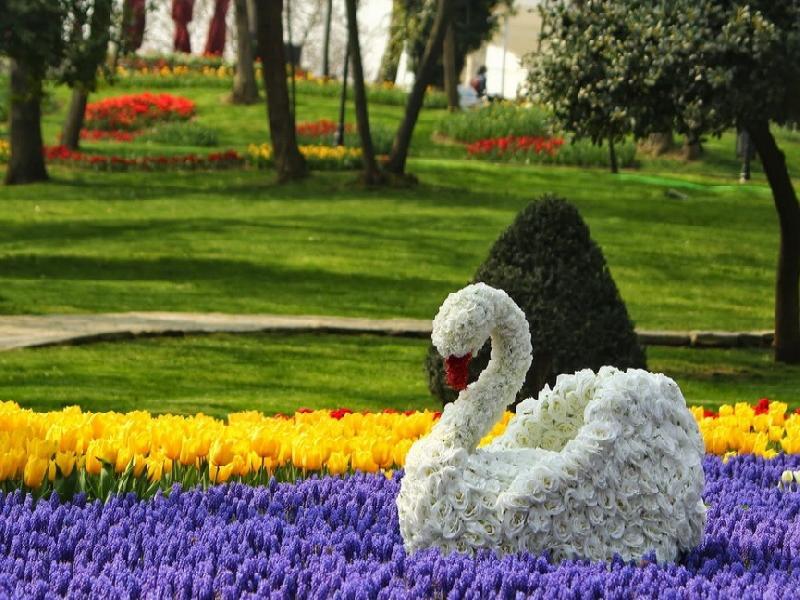 Фестивала на лалето с 2 нощувки - Истанбул 2019