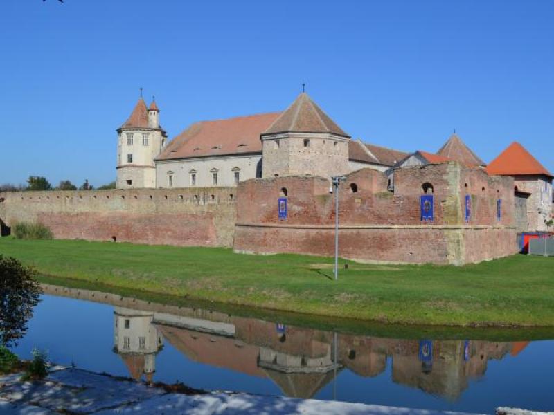 КРАЛЕТЕ НА РУМЪНИЯ