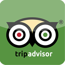 tripadvisor