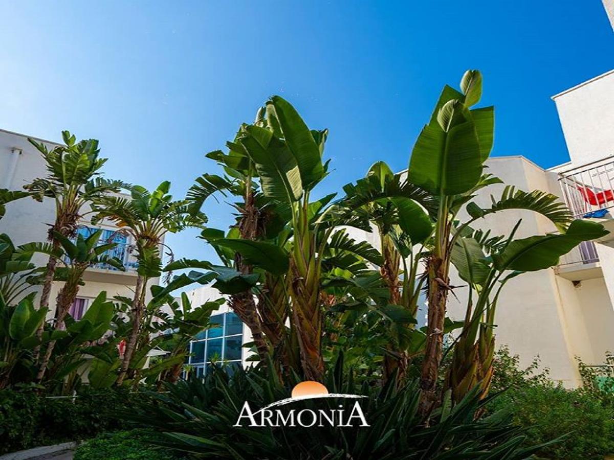 Armonia Holiday Village & SPA 5*